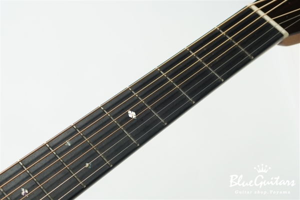 D-28B Brazilian Rosewood / Adirondack Spruce [サウンドメッセin大阪2024]